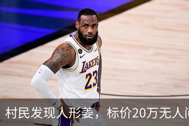 村民发现人形姜，标价20万无人问津，剖开后竟是姜块！